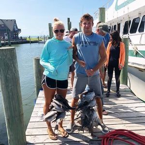 Meet your Posher, Bryn